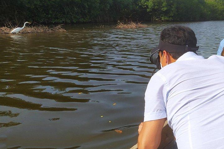 Cartagena Mangrove Private Tour