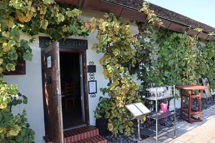 プラハの隠れたブドウ園プライベートツアー