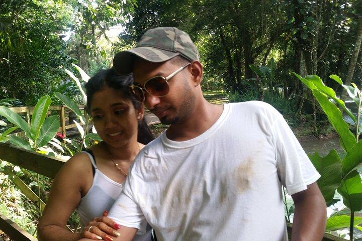 Private Appleton Estate Rum Tour & Black River Safari –Experience