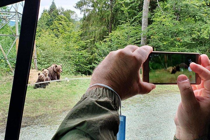 ブカレストからのクマとドラキュラのプライベート全日ツアー