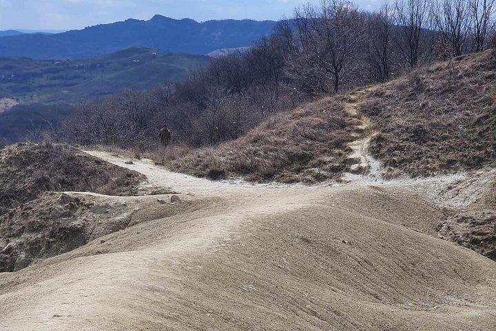 ブカレストからの泥火山と塩鉱山のプライベート全日ツアー