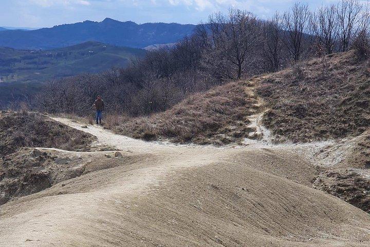 ブカレストからの泥火山と塩鉱山のプライベート全日ツアー