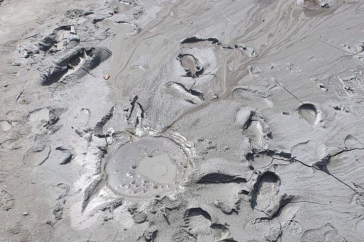 ブカレストからの泥火山と塩鉱山のプライベート全日ツアー