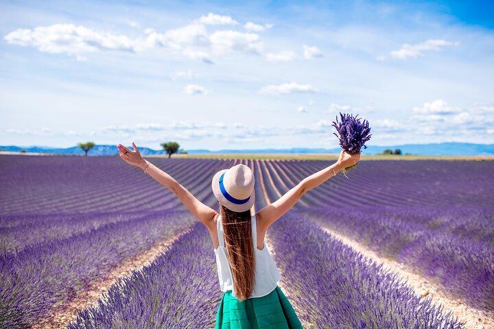 Provence delt halvdags lavendeltur fra Aix en Provence
