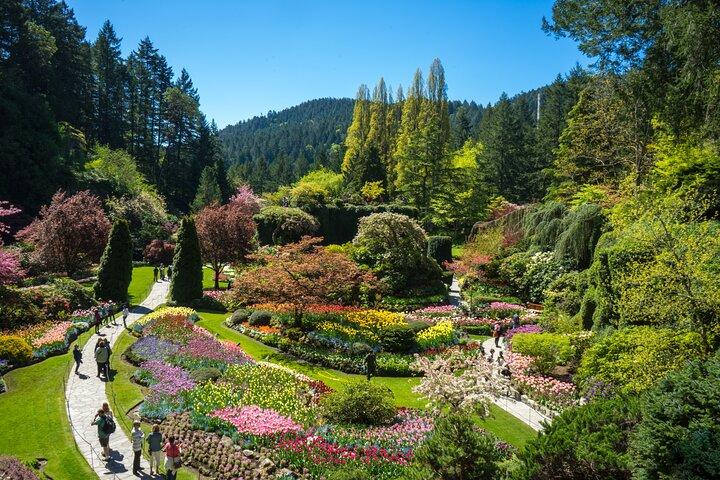 Tour panoramico dei giardini Butchart e Victoria da Vancouver