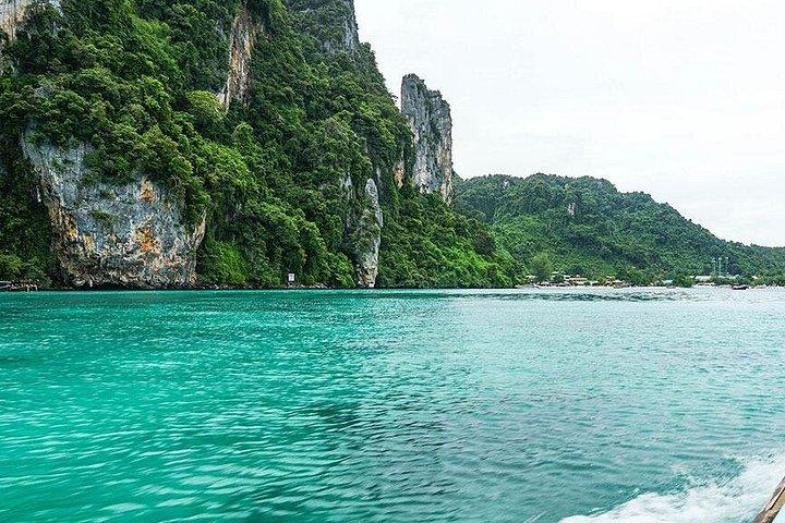 Excursion d'une demi-journée autour des îles Phi Phi en bateau privé à longue queue depuis Phi Phi