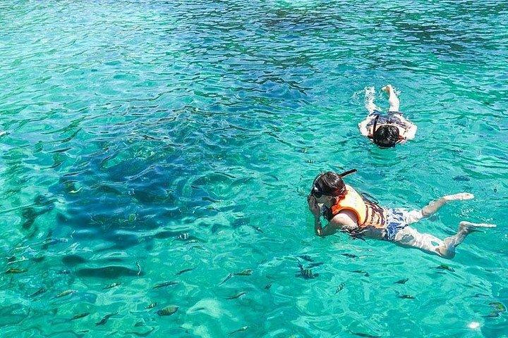 Visite privée de 6 heures autour des îles Phi Phi depuis Phi Phi