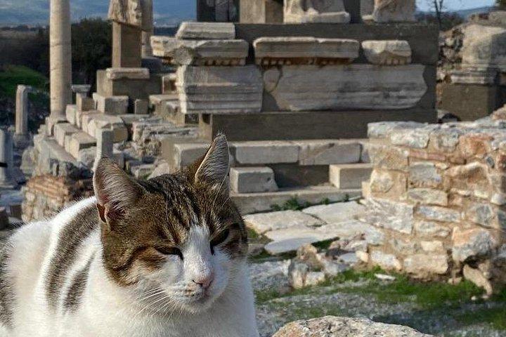 LESS WALKING - SKIP THE LINES Private Customizable Ephesus Tour