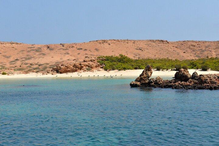Snorkelture til Daymaniat Islands Sharing Trip