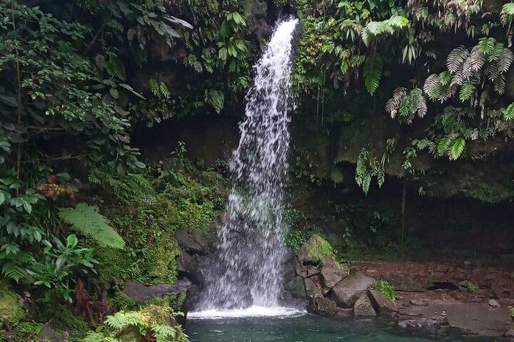 Pepper's Choice: cascate, spa sulfurea e spiaggia di sabbia nera
