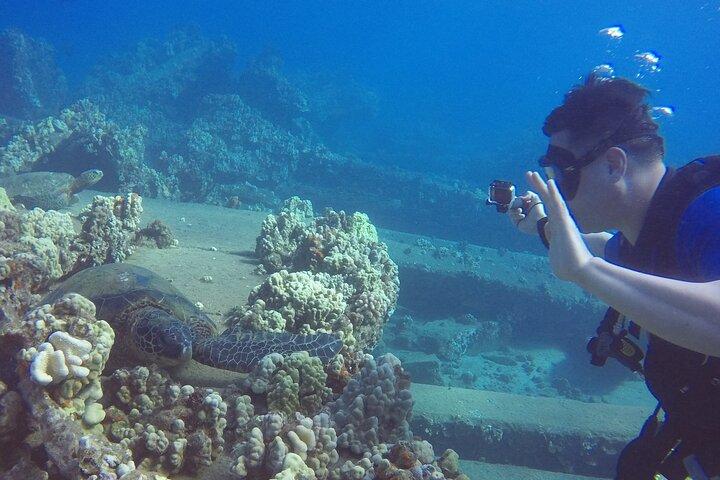 Scuba For Beginners No Experience Needed Swimming Ability A Must
