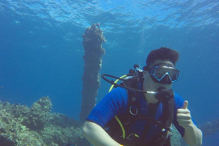 Scuba For Beginners No Experience Needed Swimming Ability A Must