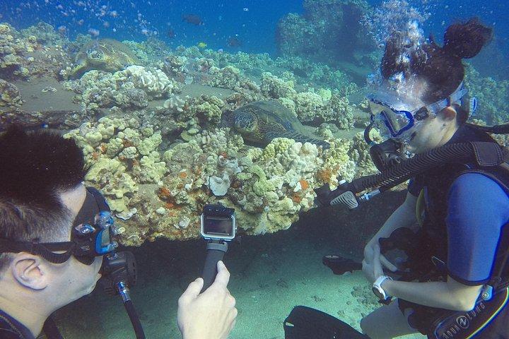 Scuba For Beginners No Experience Needed Swimming Ability A Must