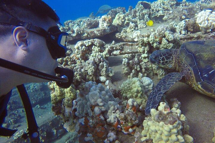 Scuba For Beginners No Experience Needed Swimming Ability A Must