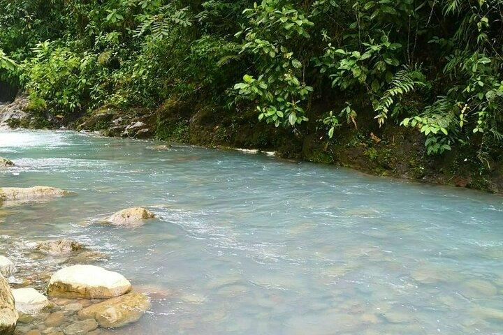 Rio Celeste river waterfall, hike and hot springs tour from San Jose, Costa Rica