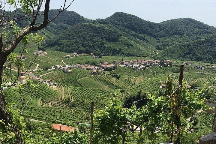 Privat heldags Prosecco-vintur fra Venedig