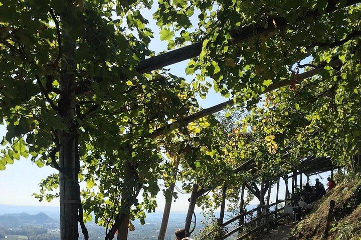 Privat heldags Prosecco-vintur fra Venedig