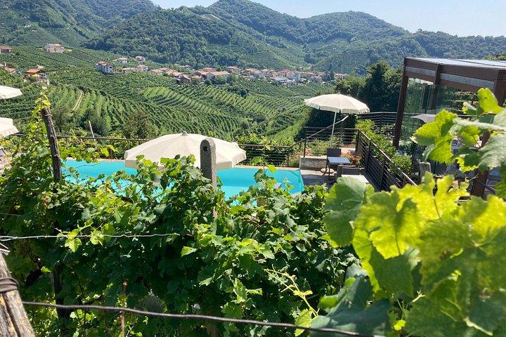 Privat heldags Prosecco-vintur fra Venedig