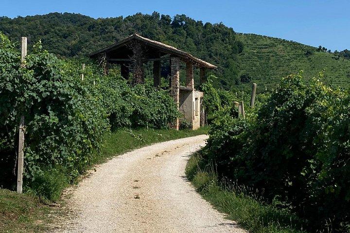 Privat heldags Prosecco-vintur fra Venedig