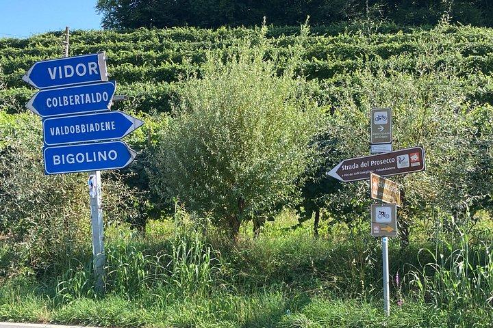 Privat heldags Prosecco-vintur fra Venedig