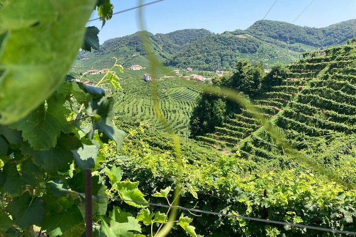 Privat heldags Prosecco-vintur fra Venedig