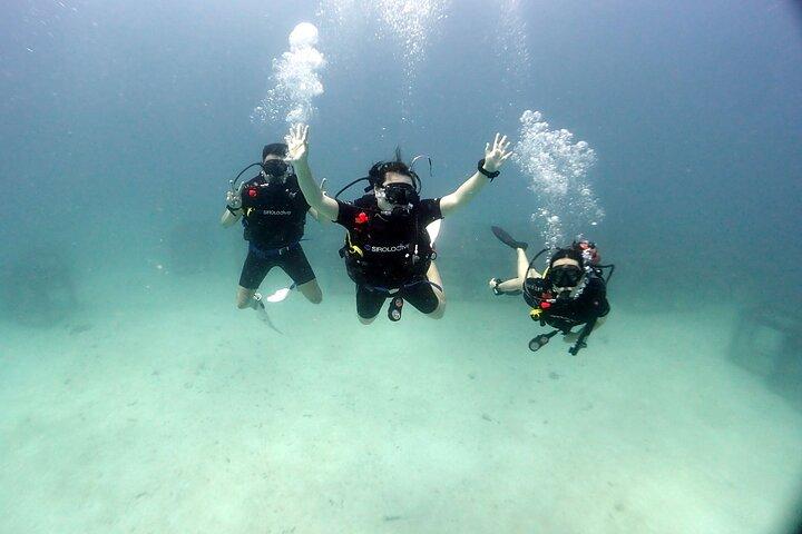Descubre el Buceo 3 Inmersiones Islas Racha