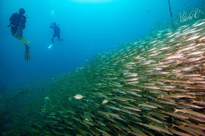 Descubre el Buceo 3 Inmersiones Islas Racha