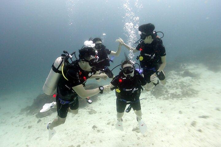 Descubre el Buceo 3 Inmersiones Islas Racha