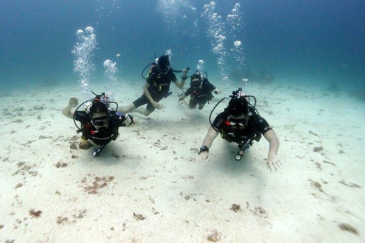 Descubre el Buceo 3 Inmersiones Islas Racha