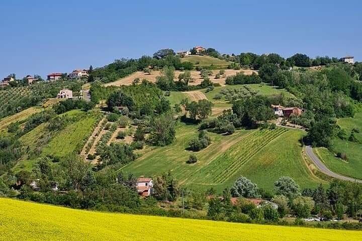 Privé begeleide e-bike-tour in Bertinoro
