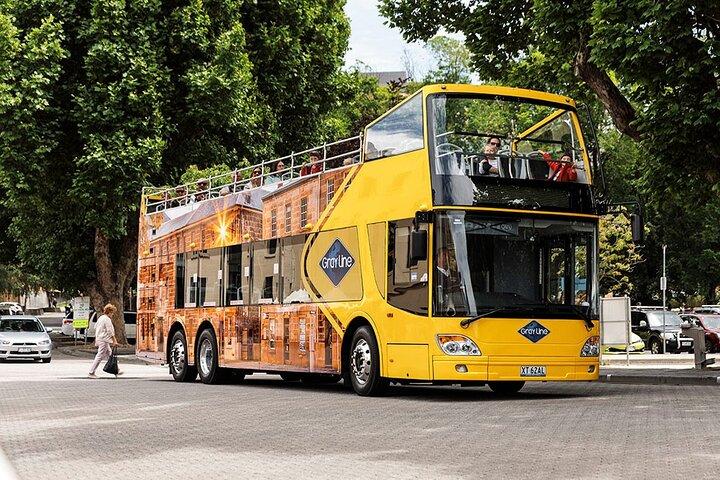 Hobart Shore Excursion - Open Top City Explorer Tour 9h30