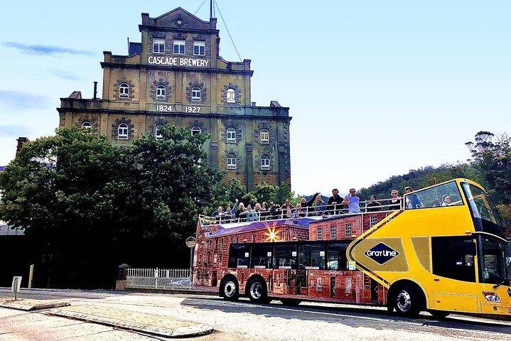 Hobart Shore Excursion - Open Top City Explorer Tour 9.30
