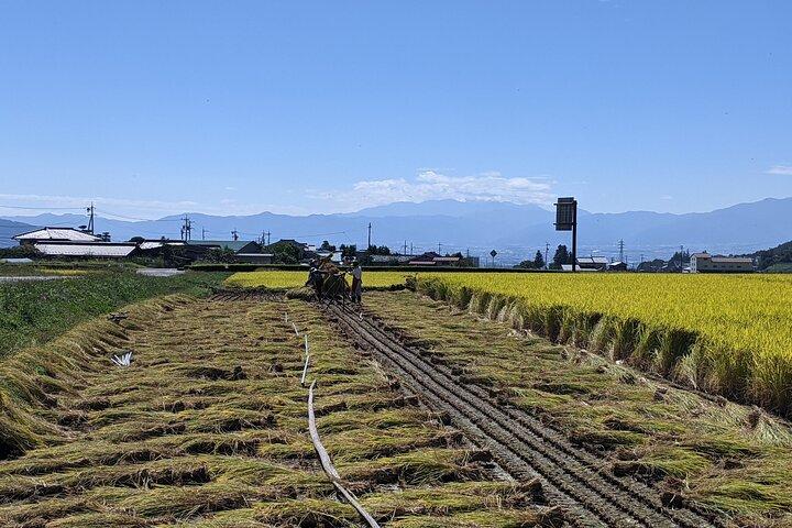 Private Electric Bike Tour & Soba Lunch
