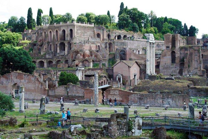 Colisée, Forum Romain et Colline Palatine Visite Privée