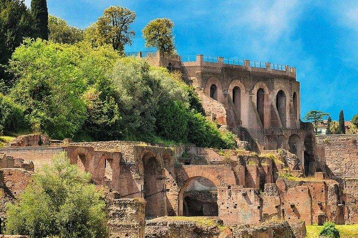 Colisée, Forum Romain et Colline Palatine Visite Privée