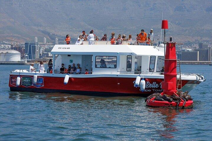 30min Harbour Boat Cruise Cape Town