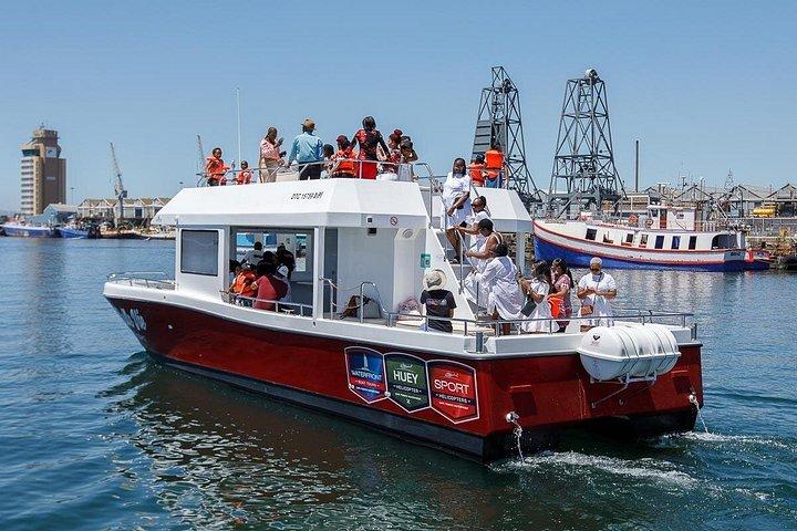 Crucero en barco por el puerto de 30 minutos Ciudad del Cabo