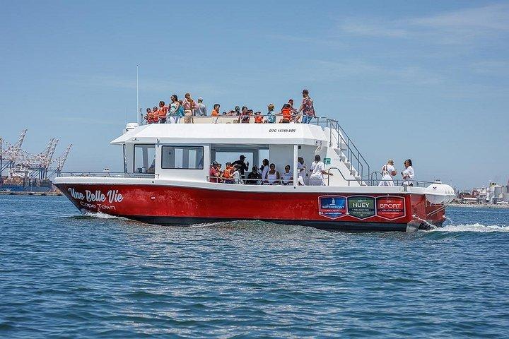 Crucero en barco por el puerto de 30 minutos Ciudad del Cabo