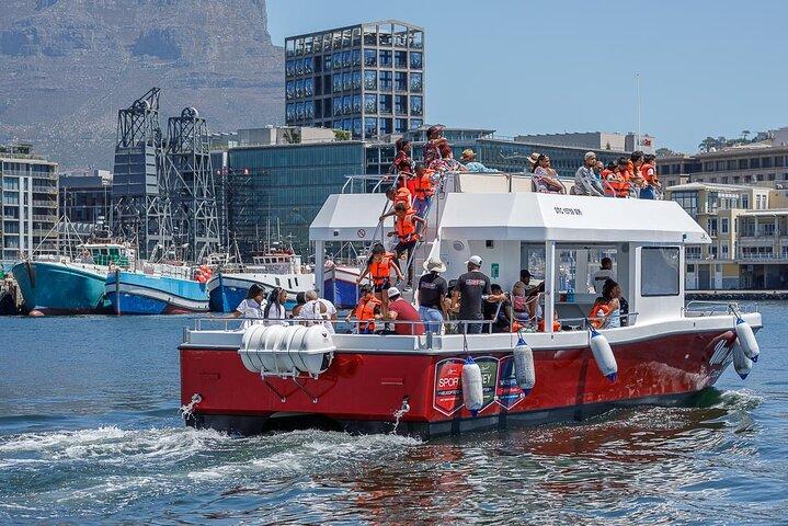 30min Harbour Boat Cruise Cape Town