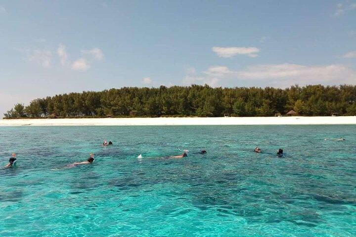 半日Zanzibar Mnemba環礁海洋保護区シュノーケリングツアー