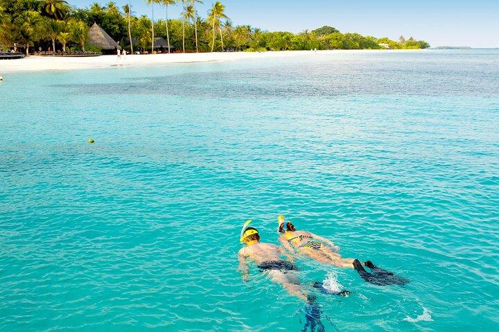 Snorkelen bij El Cielo in Cozumel Beleef vanuit Playa del Carmen