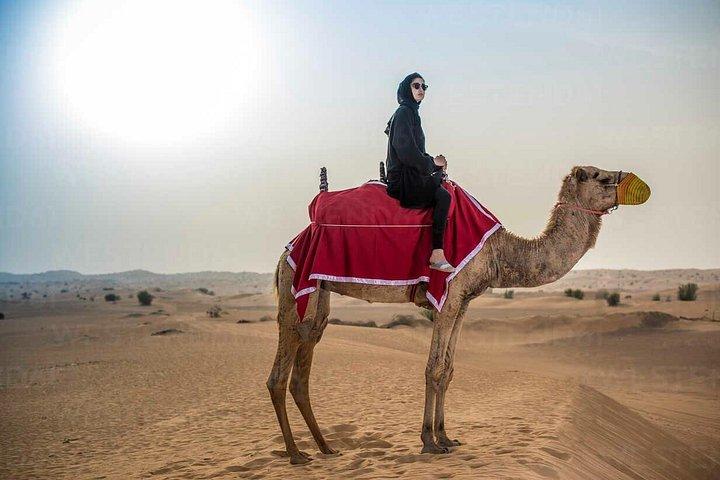 Premium Desert safari With Dune buggy camel ride BBQ dinner