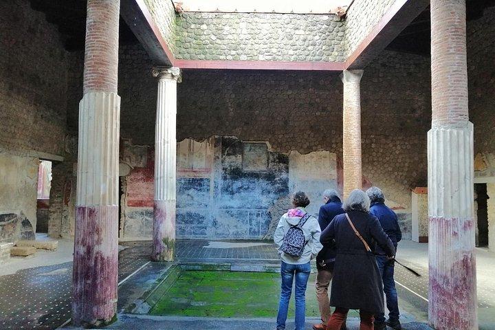 Private Tour with Official Guide through the wonders of Pompeii.