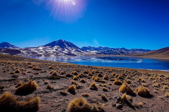 Kleingruppentour Altiplanic Lagoons Red Stones & Flamingo Reserve