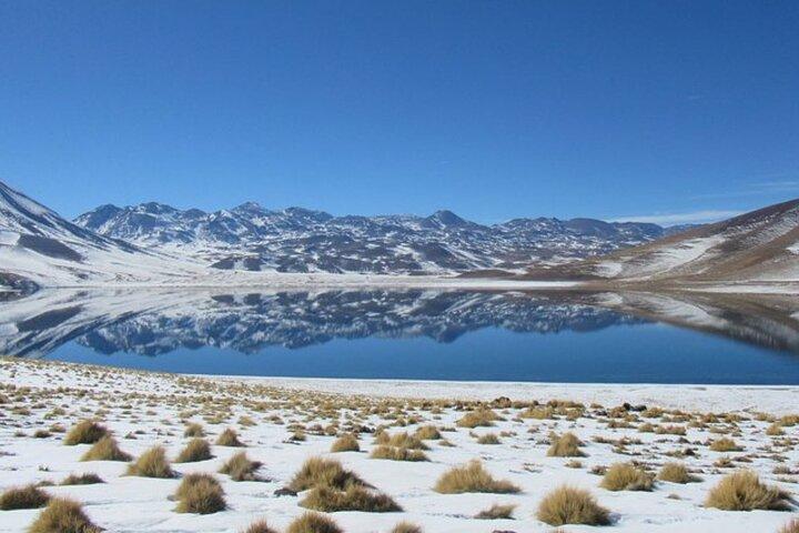 Kleingruppentour Altiplanic Lagoons Red Stones & Flamingo Reserve