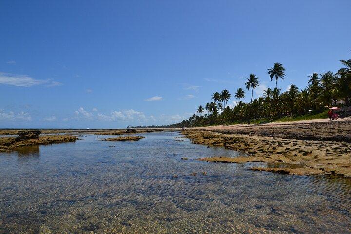 Privater Transfer von Porto de Galinhas zum Flughafen Recife