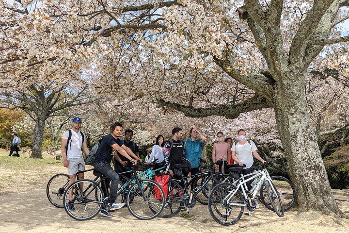 Nara - Tour in bici da cross nel cuore della natura