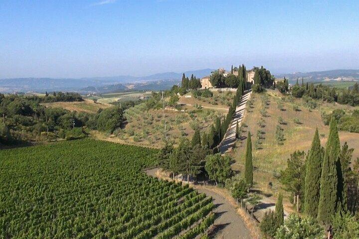 Privat Chianti vintur