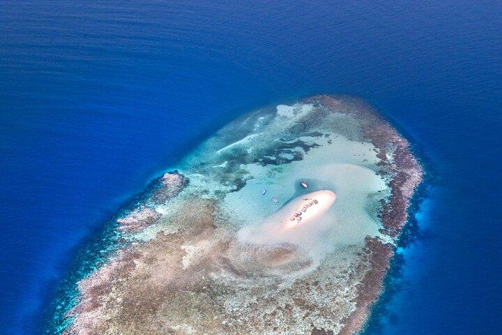Puerto Plata: Ilha do Paraíso (Cayo Arena)