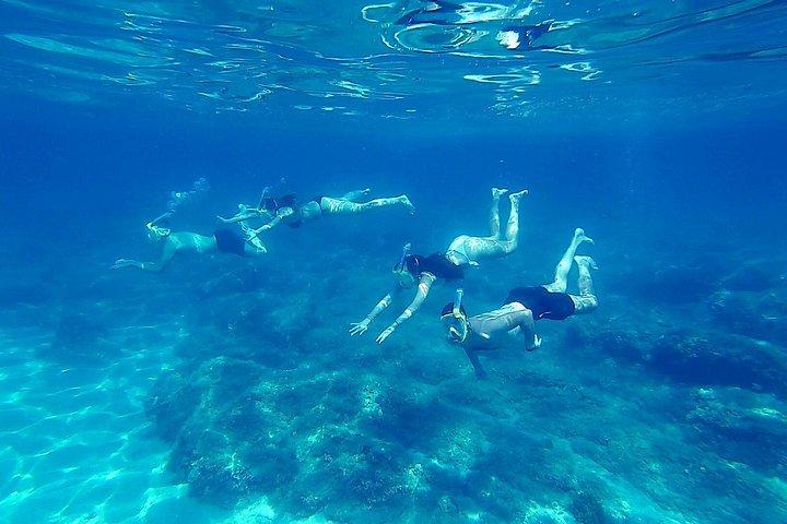 ドゥブロヴニク プライベート ボート エクスカーション - エラフィテ諸島